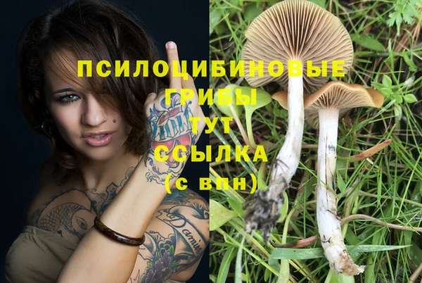 экстази Бородино