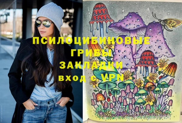 экстази Бородино