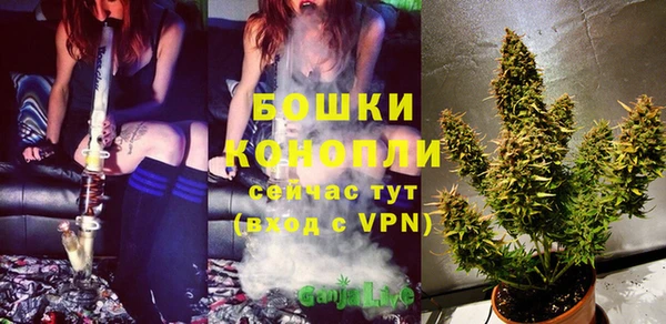 экстази Бородино