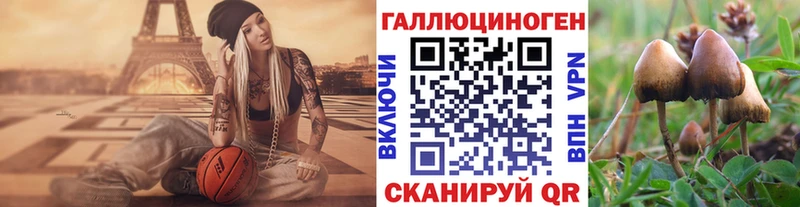omg сайт  Новый Уренгой  Галлюциногенные грибы GOLDEN TEACHER 